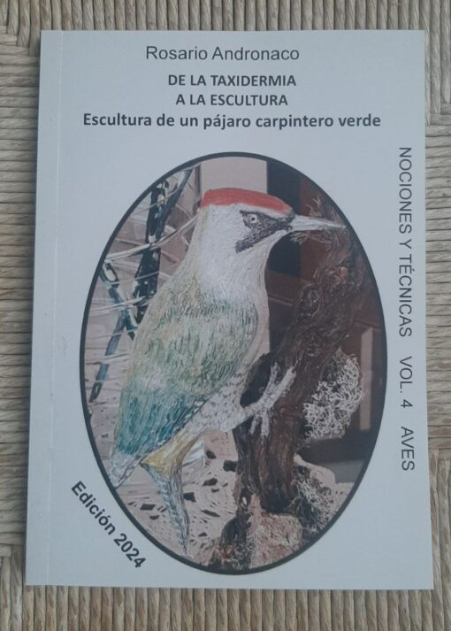 De la taxidermia a la escultura. Escultura de un pájaro carpintero verde ed 2024
