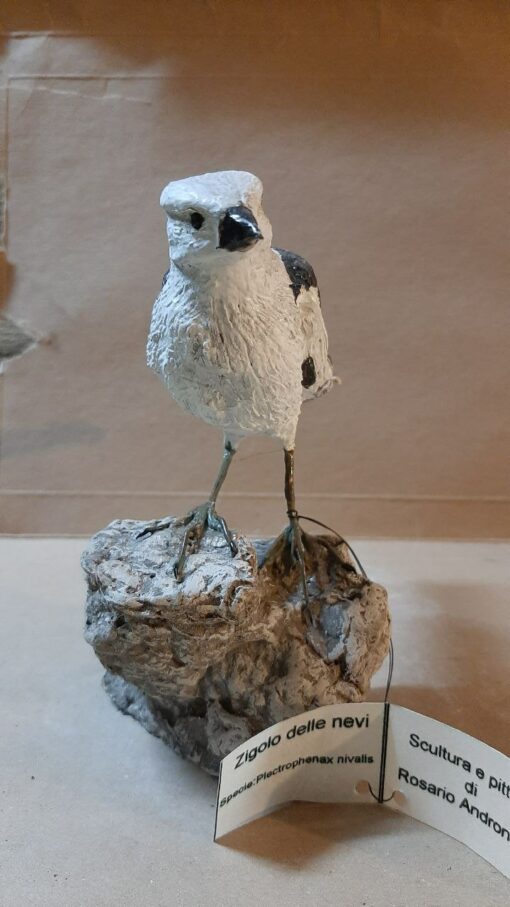 Scultura di una zigolo delle nevi. - immagine 3