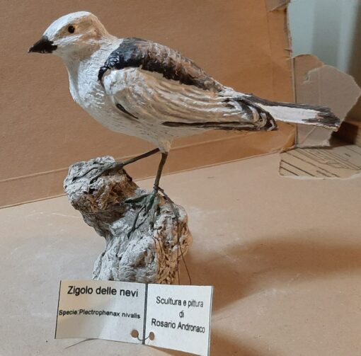 Scultura di una zigolo delle nevi.