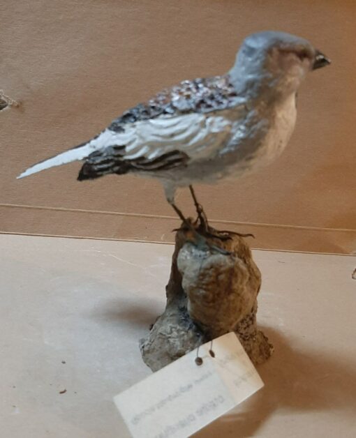 Strillozzo in scultura di argilla - immagine 2