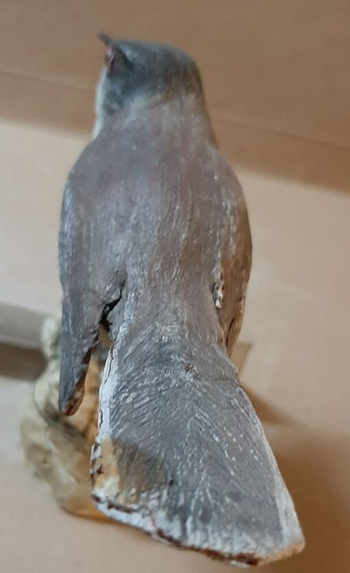 Occhiocotto in scultura di argilla - immagine 4