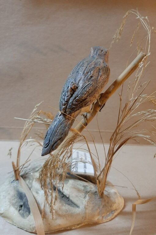 Beccamoschino in scultura di argilla - immagine 4