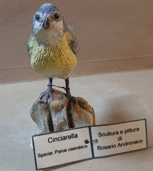 Cinciarella in scultura di argilla - immagine 3