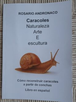 Caracoles Arte y escultura de la naturaleza cómo reconstruir caracoles a partir de conchas