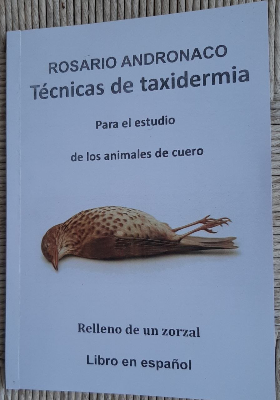 Taxidermia estudios sobre animales en cuero, relleno de un zorzal