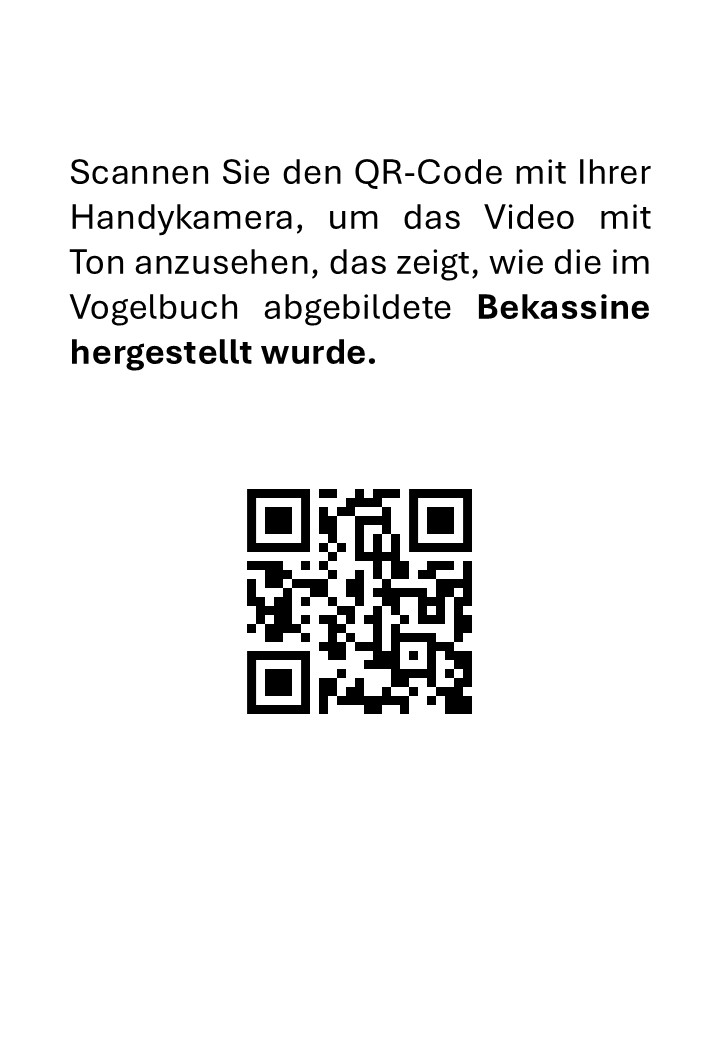 Taxidermie Begriffe und Techniken Vögel Vorbereitung einer Schnepfe - immagine 3