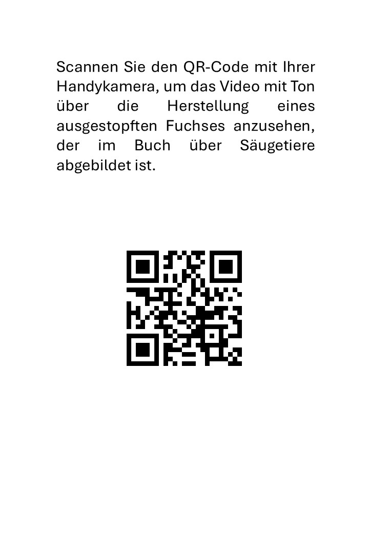 Taxidermie: Säugetiere Einbalsamierung eines Fuchses - immagine 3