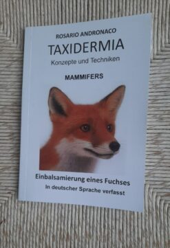 Taxidermie: Säugetiere Einbalsamierung eines Fuchses