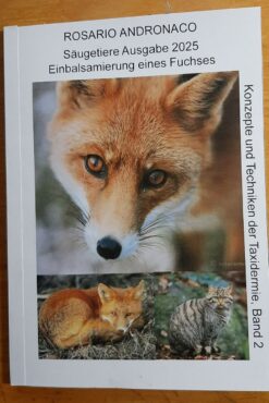 Taxidermie: Säugetiere Band 2 Einbalsamierung eines Fuchses Ausgabe 2025