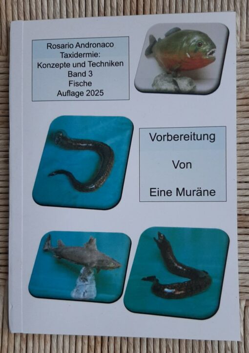Taxidermie, Fischpräparation einer Muräne Ausgabe 2025