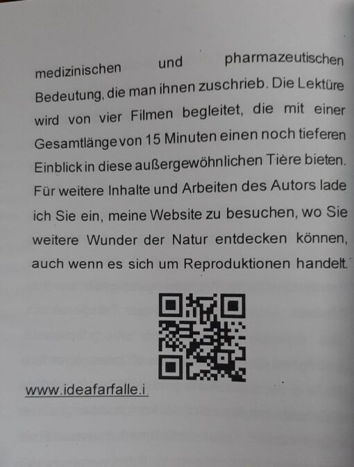 Snails Nature art and sculpture how to reconstruct snails from shells Edition 2025 - immagine 2