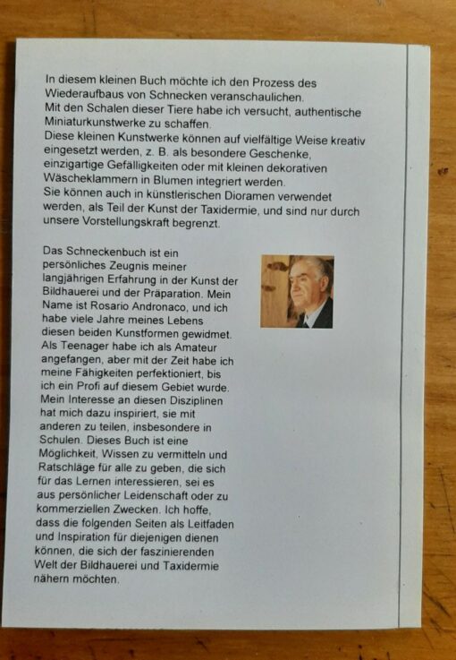 Schnecken Natur Kunst und Skulptur wie man Schnecken aus Muscheln rekonstruiert Ausgabe 2025 - immagine 3