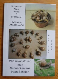 Schnecken Natur Kunst und Skulptur wie man Schnecken aus Muscheln rekonstruiert Ausgabe 2025