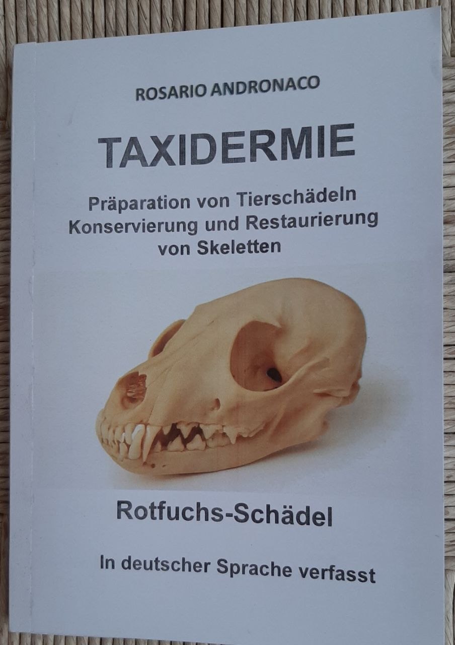 Taxidermie, Präparation von Tierschädeln
