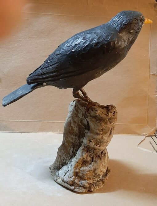 Storno nero in scultura di argilla - immagine 3