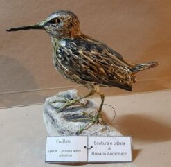 Frullino in scultura di argilla