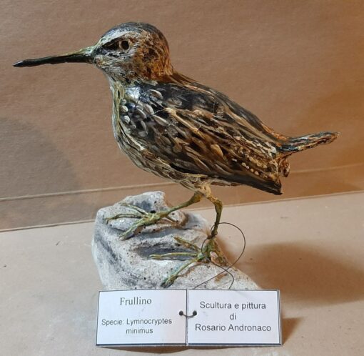 Frullino in scultura di argilla