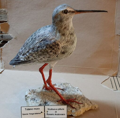 Totano moro in scultura di argilla - immagine 2