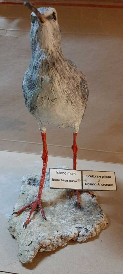 Totano moro in scultura di argilla - immagine 3