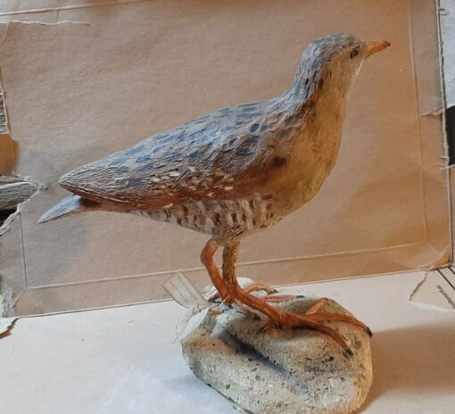 Re di quaglie in scultura di argilla - immagine 2