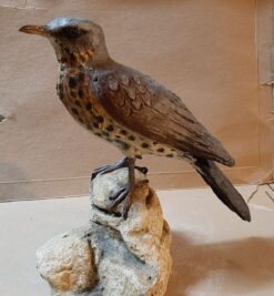Cesena in scultura di argilla