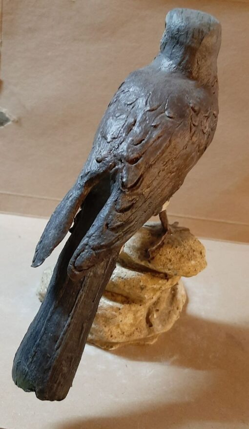 Cesena in scultura di argilla - immagine 4
