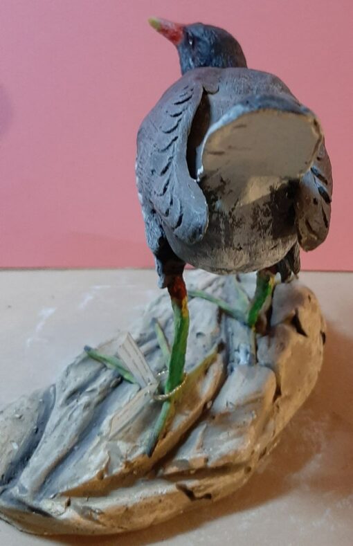 Gallinella d’acqua in scultura di argilla - immagine 4
