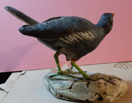 Gallinella d’acqua in scultura di argilla - immagine 3