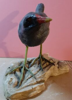 Gallinella d’acqua in scultura di argilla