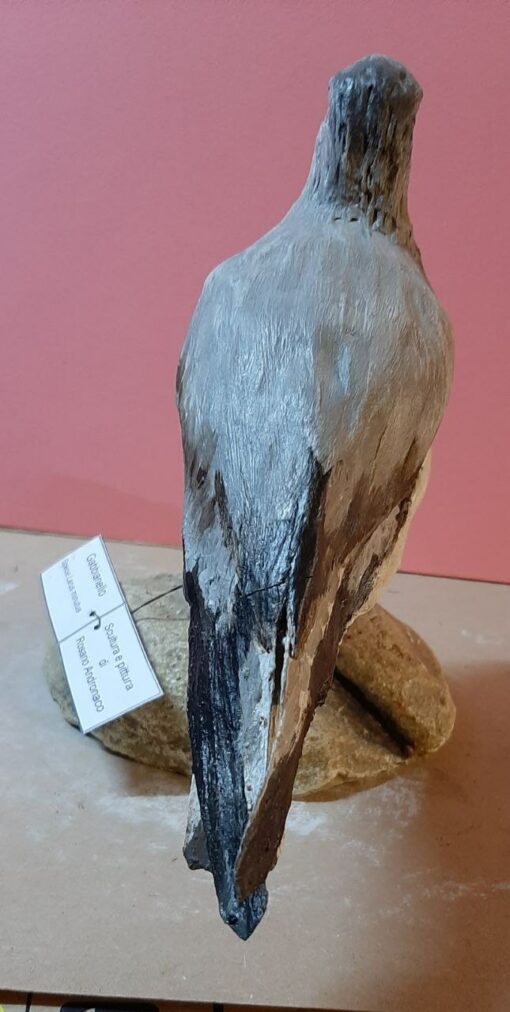 Gabbianello in scultura di argilla - immagine 4