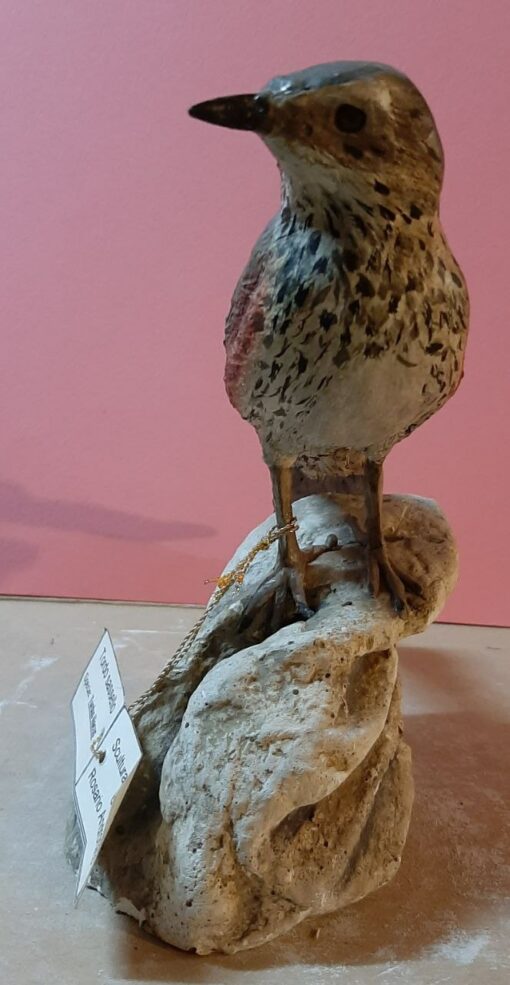 Tordo sassello in scultura di argilla - immagine 3