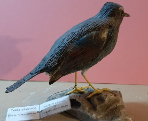 Tordo siberiano in scultura di argilla - immagine 2