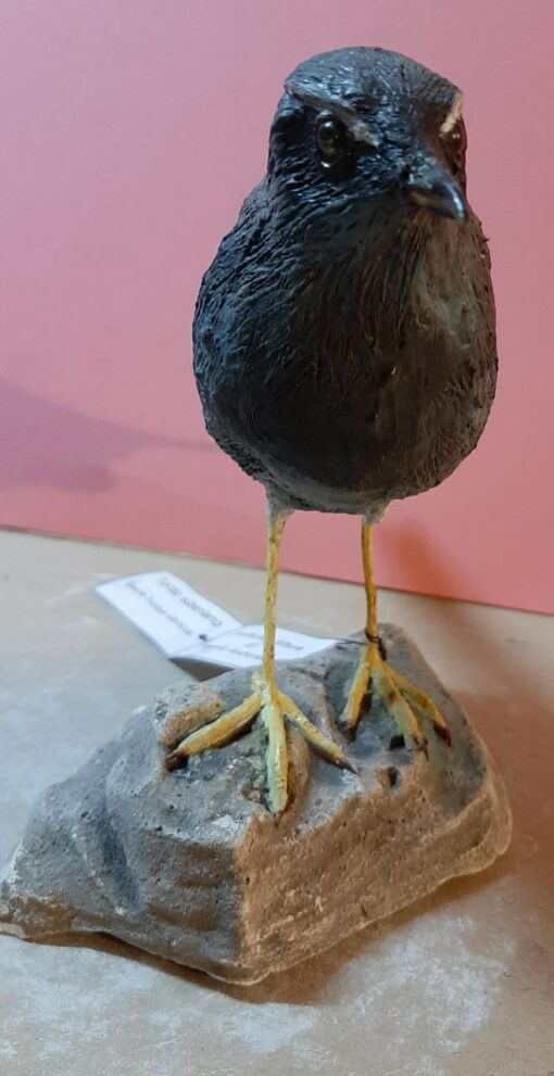 Tordo siberiano in scultura di argilla - immagine 3