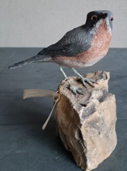 Sterpazzolina in scultura di argilla