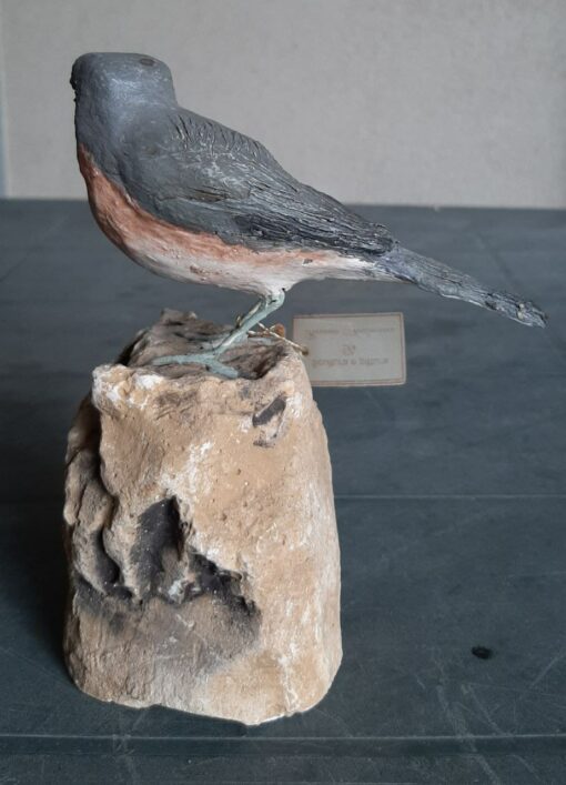 Sterpazzolina in scultura di argilla - immagine 3