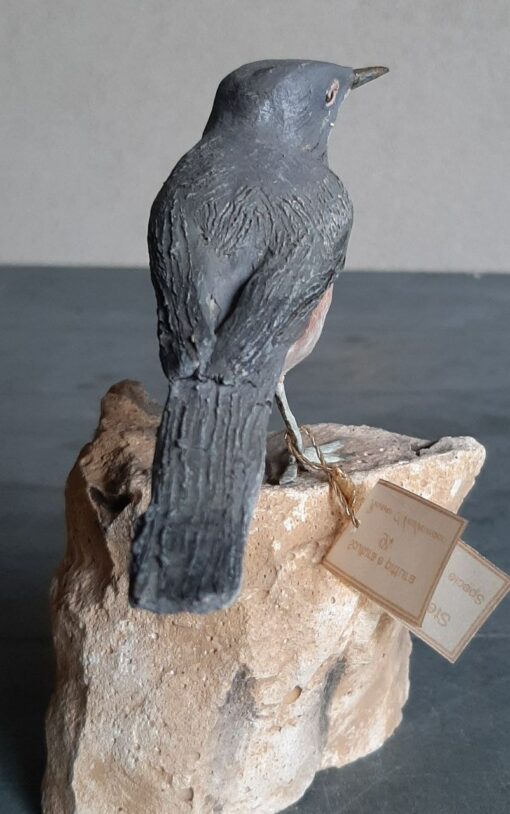 Sterpazzolina in scultura di argilla - immagine 4