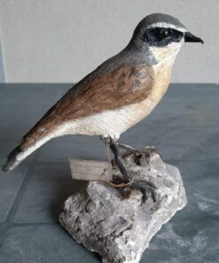 Culbianco in scultura di argilla