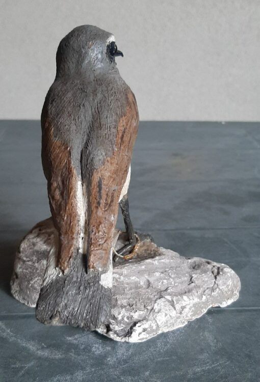 Culbianco in scultura di argilla - immagine 4