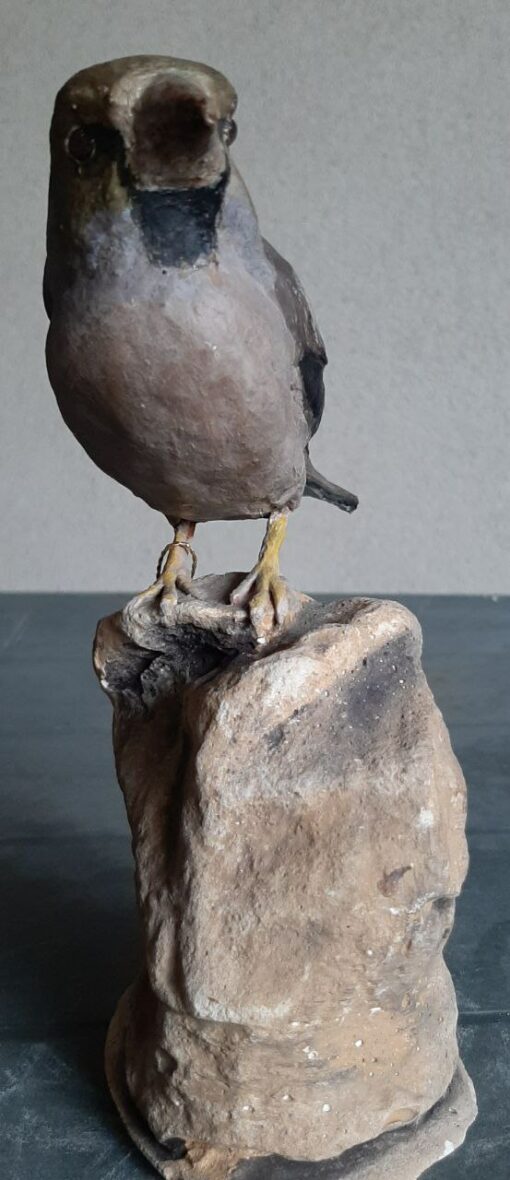Frosone femmina in scultura di argilla - immagine 3