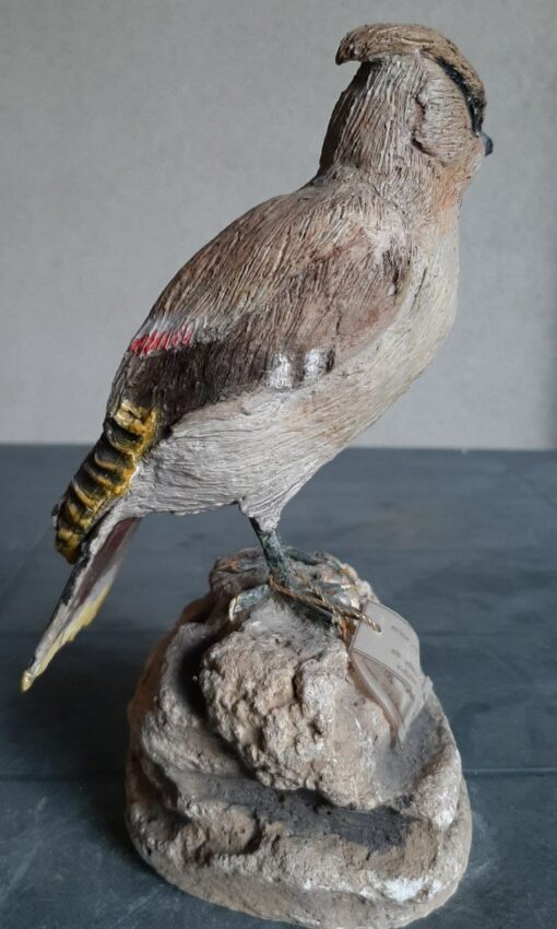 Beccofrusone in scultura di argilla - immagine 3