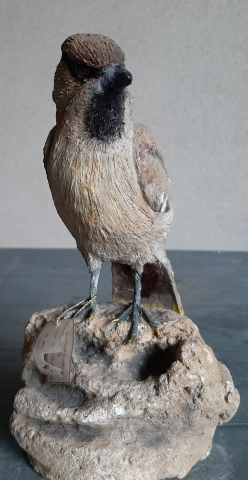 Beccofrusone in scultura di argilla - immagine 2