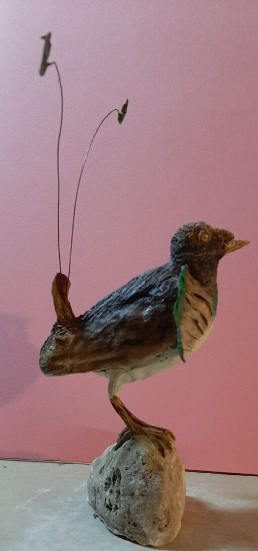 Paradisaea rudolphi in scultura di argilla - immagine 3