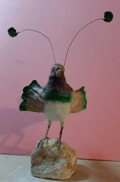 Paradisaea rudolphi in scultura di argilla