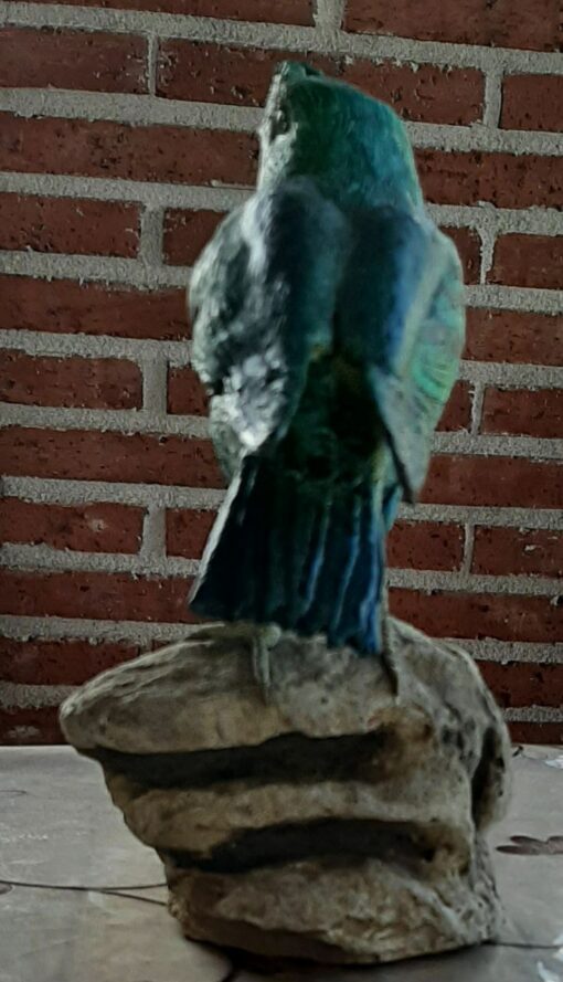Rupicola verde, in scultura di argilla - immagine 4