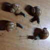 Chiocciole in scultura di argilla e dimensioni naturali