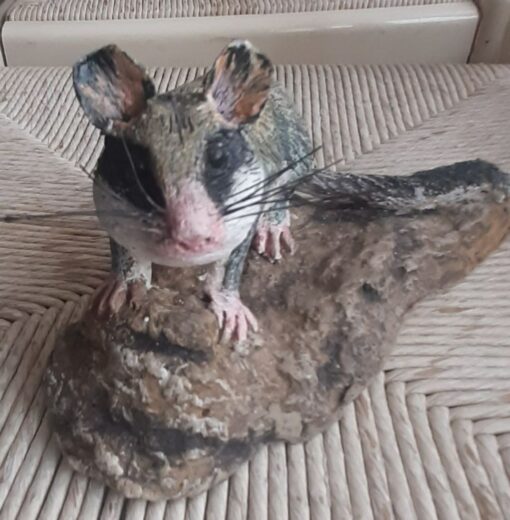 Ghiro in scultura di argilla e dimensioni naturali - immagine 3