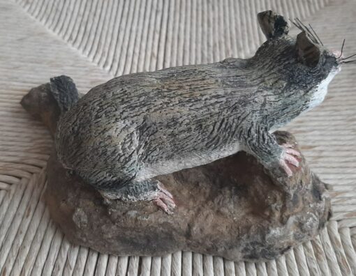 Ghiro in scultura di argilla e dimensioni naturali - immagine 2