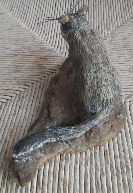 Ghiro in scultura di argilla e dimensioni naturali - immagine 4