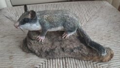 Ghiro in scultura di argilla e dimensioni naturali