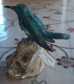 Colibrì di Geoffroy, in scultura di argilla
